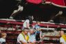 Palio 16 agosto 2019: la fotogallery della Provaccia